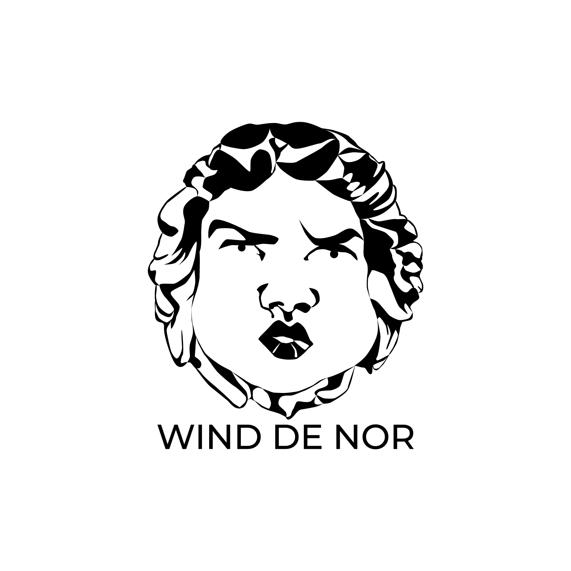 wind-de-nor.ru